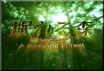 A Sleeping Forest