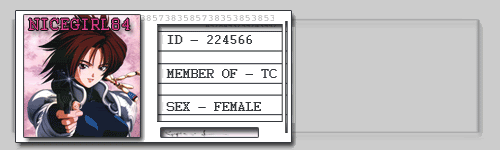 Nicegirl-forum-sig.gif