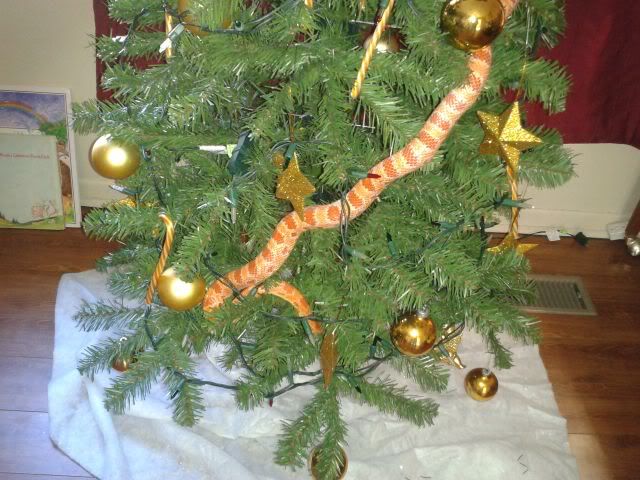 2011-12-09131355.jpg