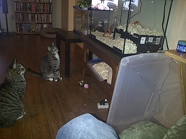 IMG-20111116-00580.jpg