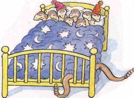 sleeping_snakes.jpg