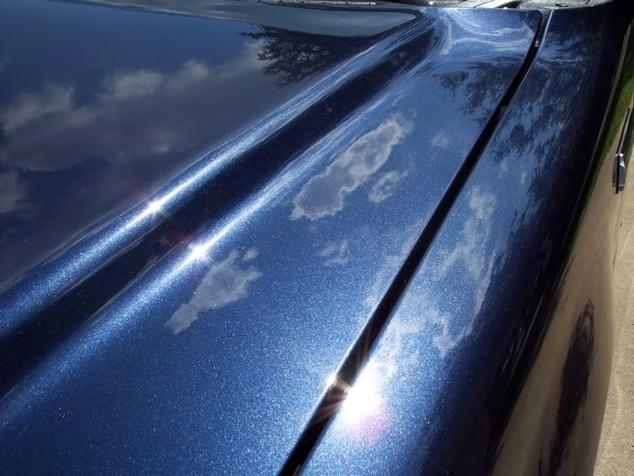 f-150detail024.jpg