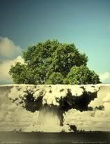  photo atomictree-1.jpg