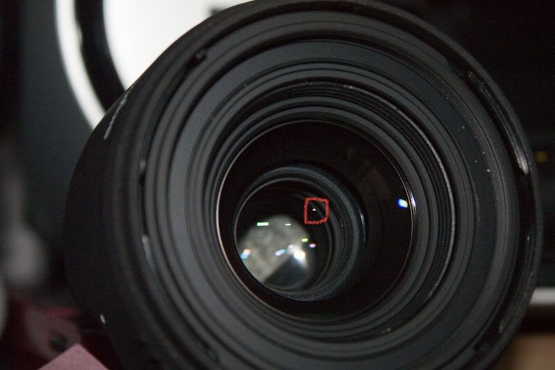 IMAGE: http://i56.photobucket.com/albums/g190/deadman3000/IMG_5233.jpg