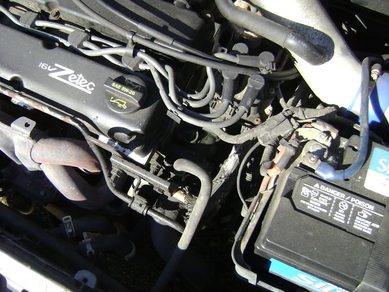 Coolant Gone Wild, pics inside Focus Fanatics Forum