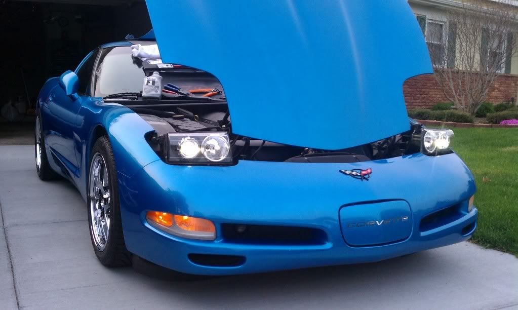 IMAG0163.jpg