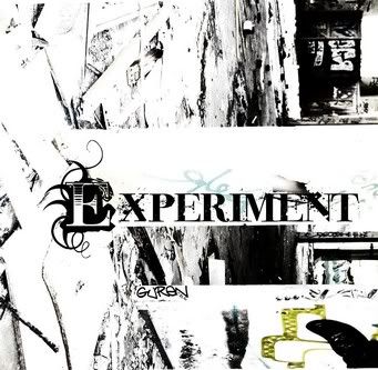 Experiment
