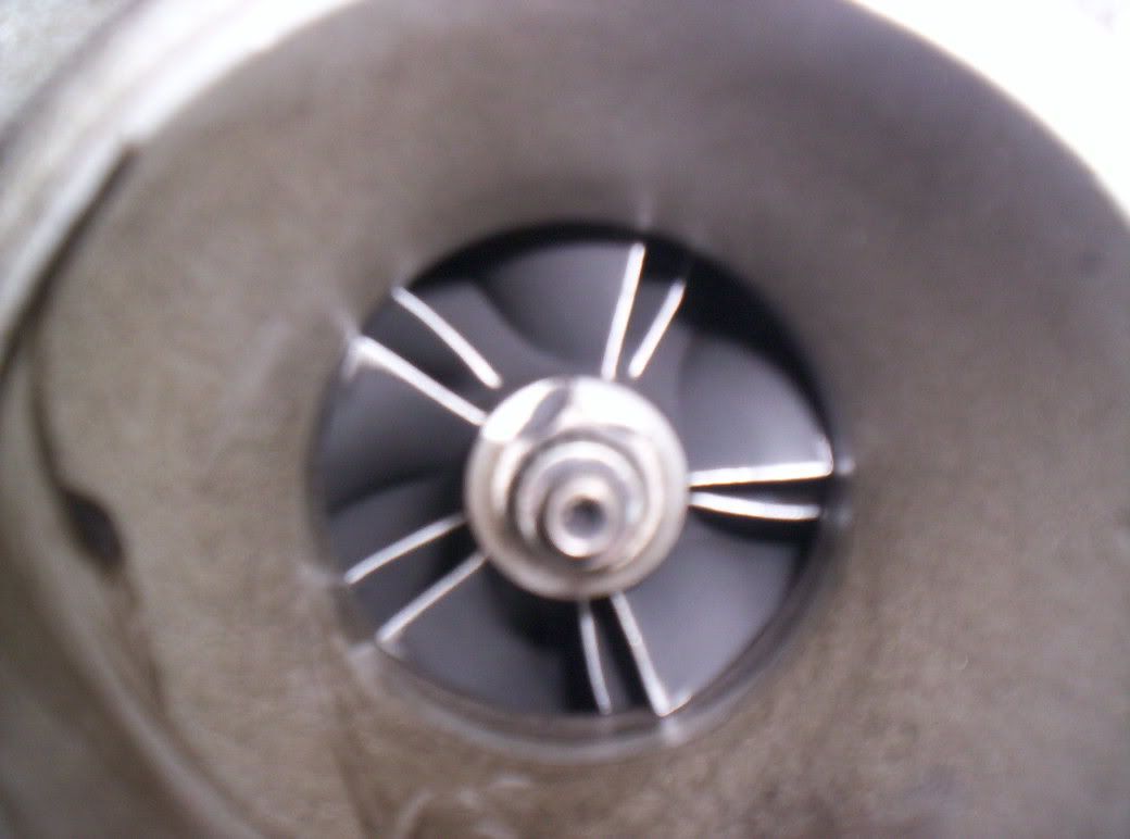 IPB Image
