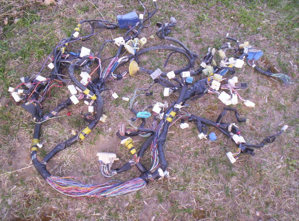 IPB Image