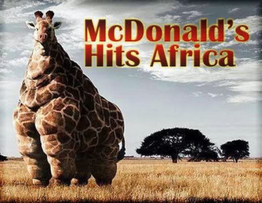 31502_mcdonalds-hits-africa.jpg