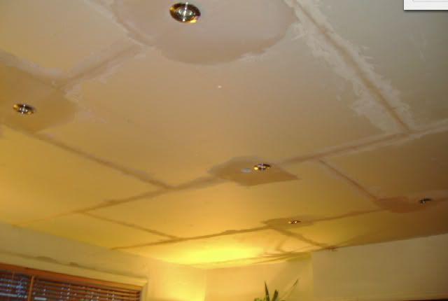 Livingroomceiling.jpg