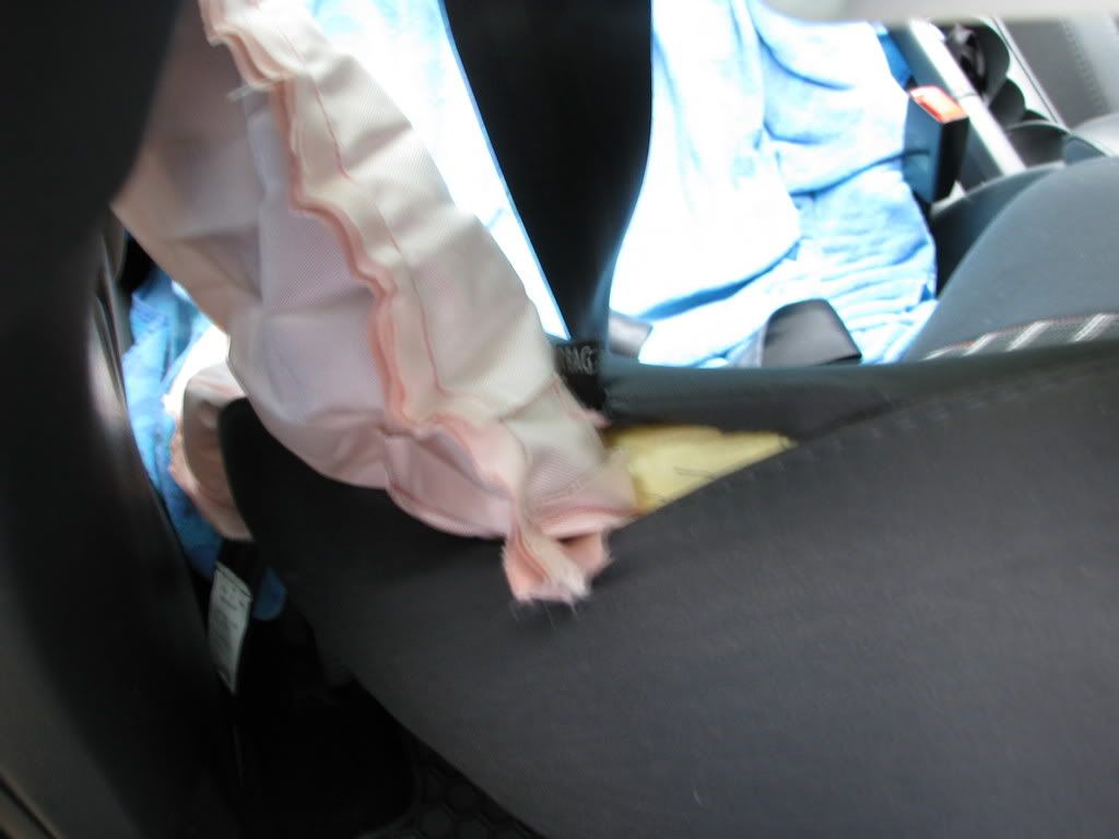 Deer+Car=Airbags... VW Vortex Volkswagen Forum