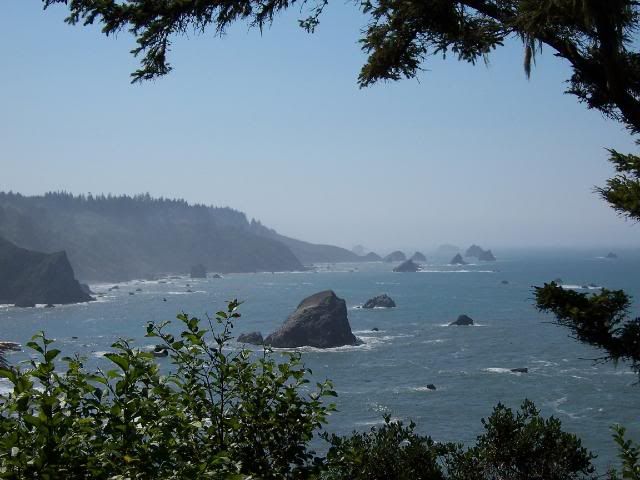 [Image: 100_2859.jpg]