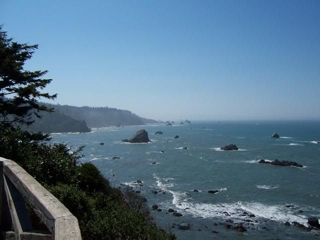 [Image: 100_2867.jpg]
