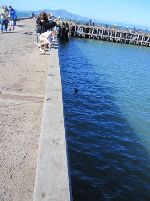 [Image: IMG_0199.jpg]