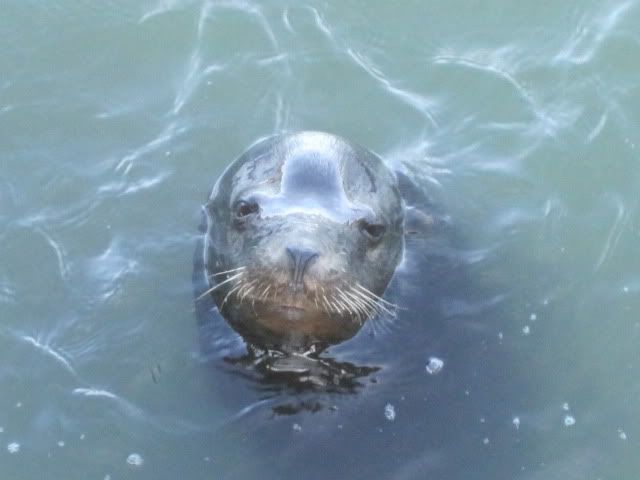 [Image: IMG_0206.jpg]