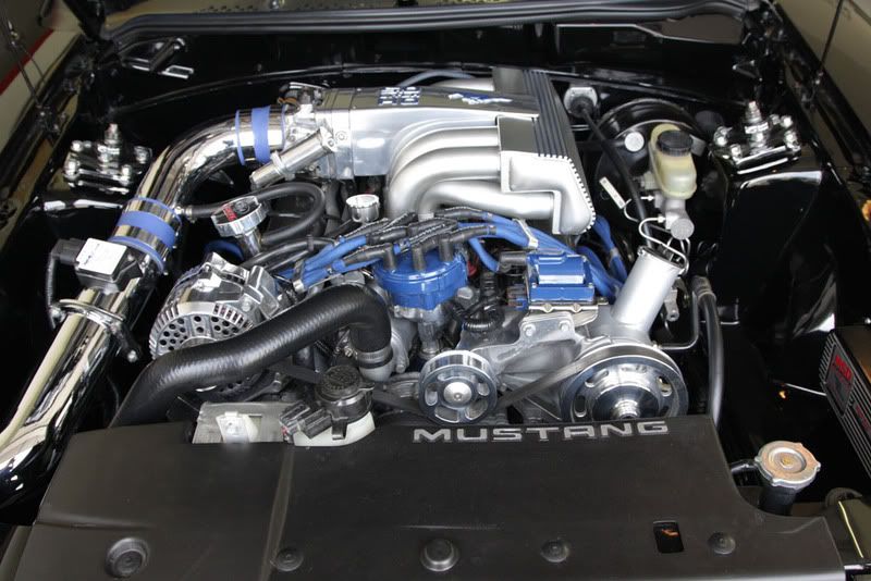 IMAGE: http://i56.photobucket.com/albums/g194/pmatthes/IMG_1904.jpg