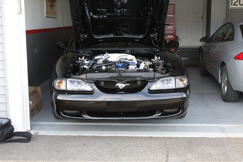 IMAGE: http://i56.photobucket.com/albums/g194/pmatthes/IMG_1924.jpg