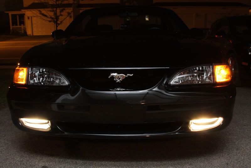 IMAGE: http://i56.photobucket.com/albums/g194/pmatthes/IMG_1971.jpg