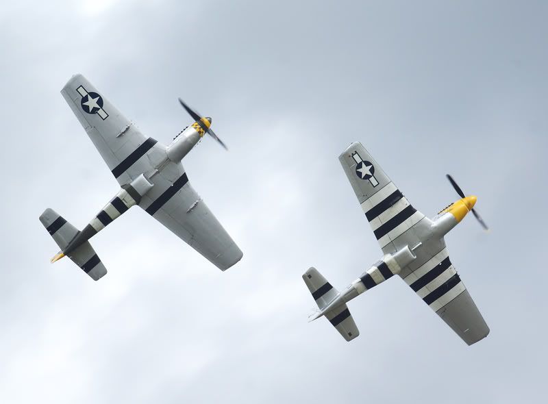 http://i56.photobucket.com/albums/g194/tigercatfan/Legends/2-Mustangs-Climbing.jpg