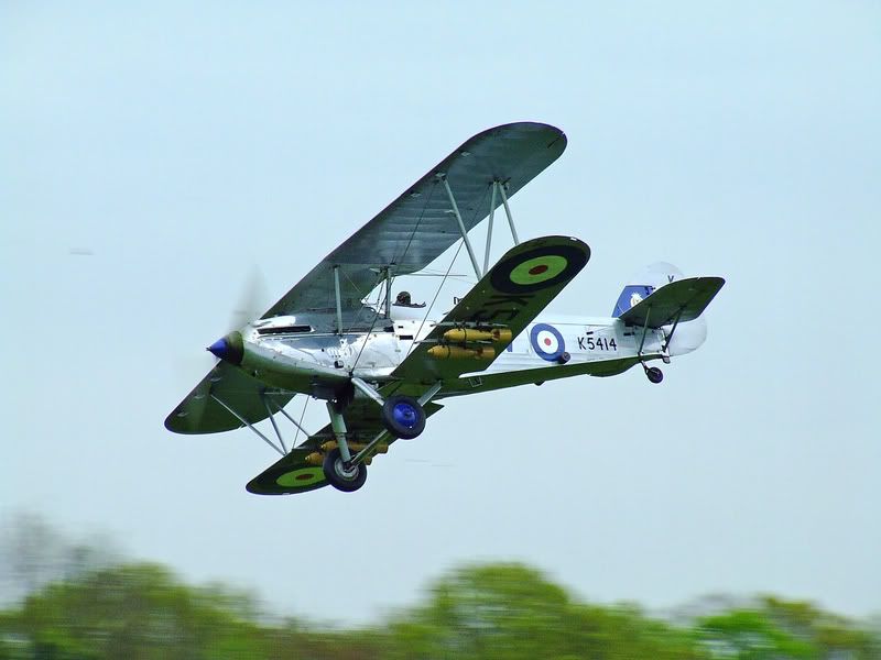 http://i56.photobucket.com/albums/g194/tigercatfan/Old%20Warden%20040508/2008_0504OldWarden0405080517.jpg