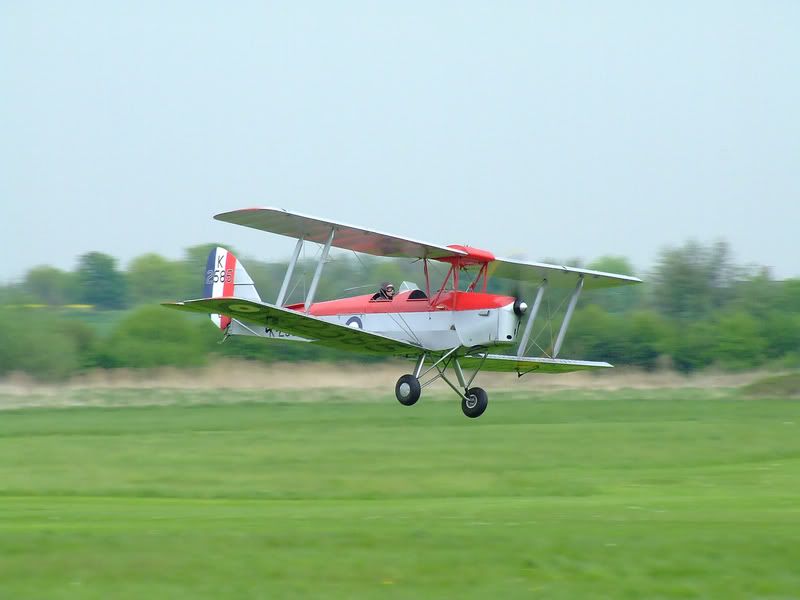 http://i56.photobucket.com/albums/g194/tigercatfan/Old%20Warden%20040508/LowTigermoth.jpg