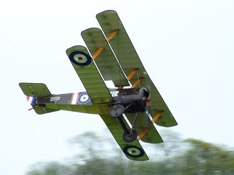 http://i56.photobucket.com/albums/g194/tigercatfan/Old%20Warden%20040508/Triplane.jpg