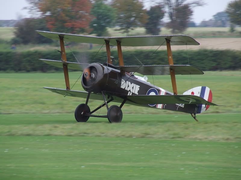 http://i56.photobucket.com/albums/g194/tigercatfan/OldWarden%20071007/2007_1007Suttleworth0710070207.jpg