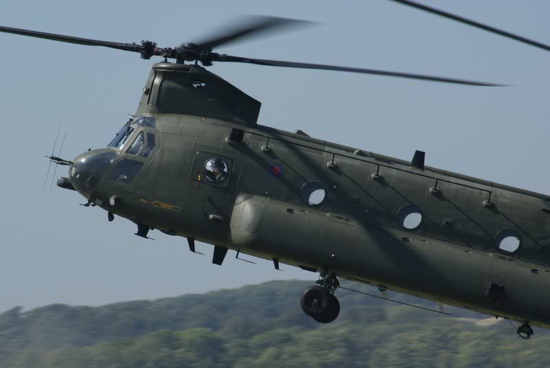 http://i56.photobucket.com/albums/g194/tigercatfan/Shoreham%202008/Chinook3.jpg