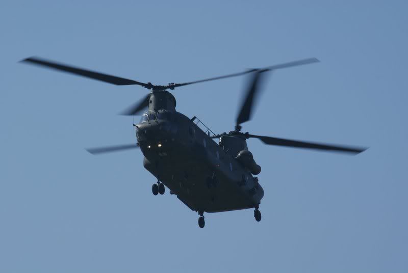 http://i56.photobucket.com/albums/g194/tigercatfan/Shoreham%202008/Chinook4.jpg