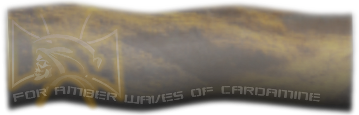 [Image: rosbanner0-01f.png]