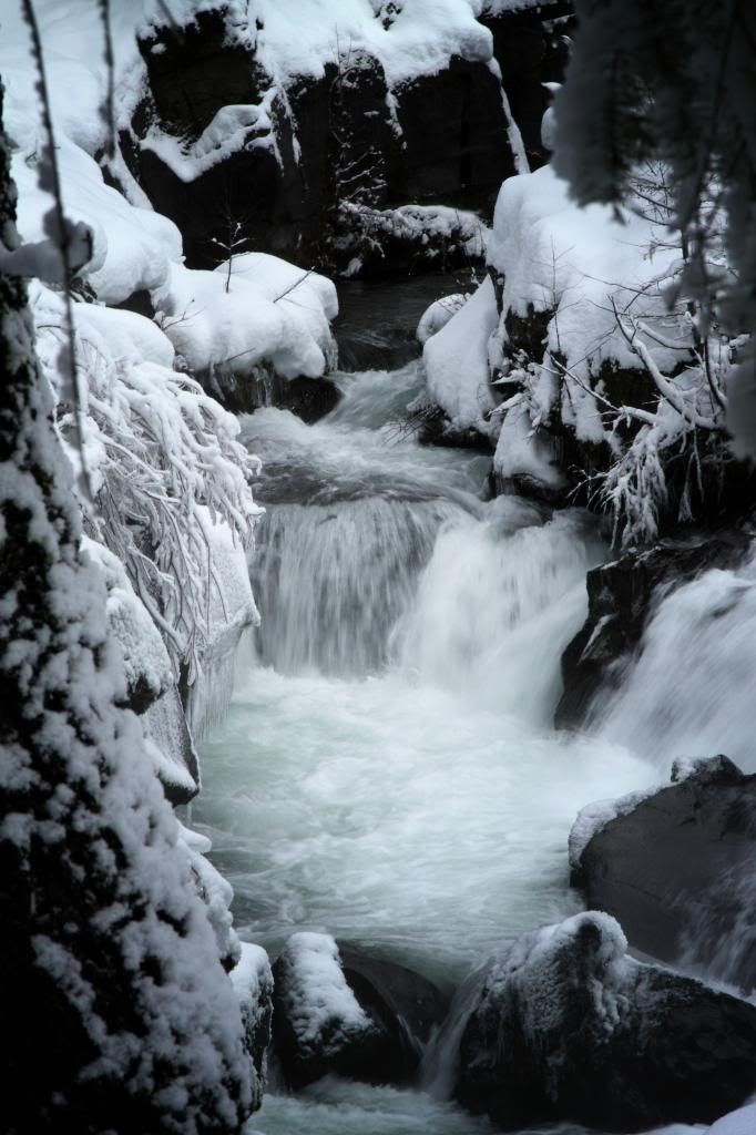 IMAGE: http://i56.photobucket.com/albums/g196/matt9901/DPP_0009edit_zps22045326.jpg