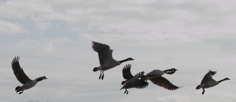 IMAGE: http://i56.photobucket.com/albums/g196/matt9901/DPPp_0007.jpg