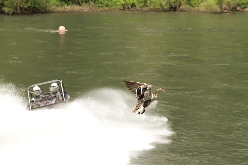 IMAGE: http://i56.photobucket.com/albums/g196/matt9901/IMG_0232.jpg