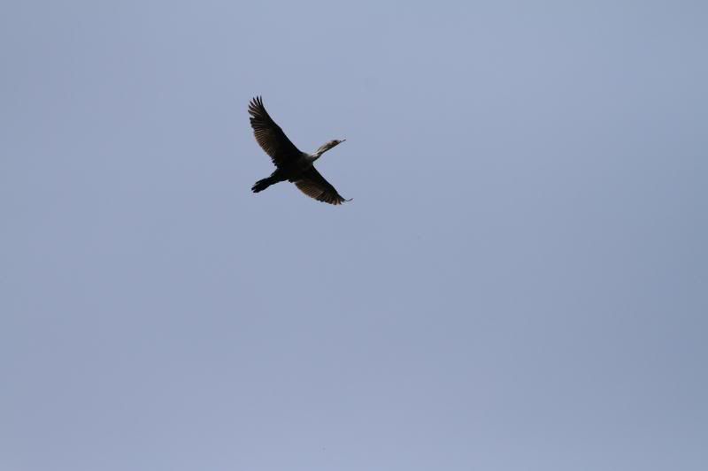 IMAGE: http://i56.photobucket.com/albums/g196/matt9901/IMG_0415.jpg