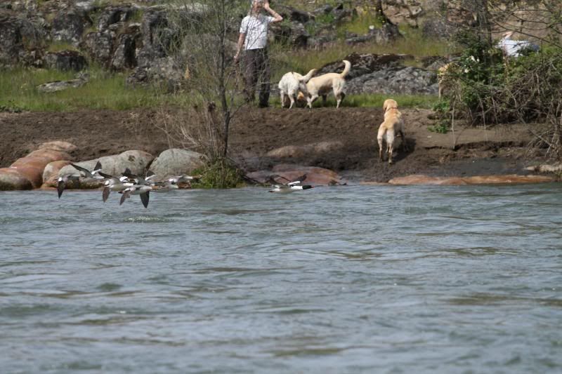 IMAGE: http://i56.photobucket.com/albums/g196/matt9901/IMG_0424.jpg