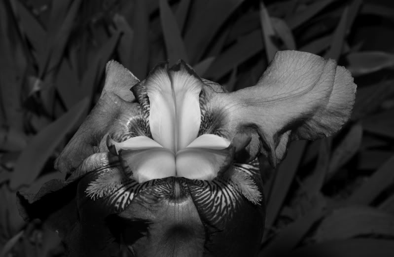 IMAGE: http://i56.photobucket.com/albums/g196/matt9901/IMG_0892.jpg