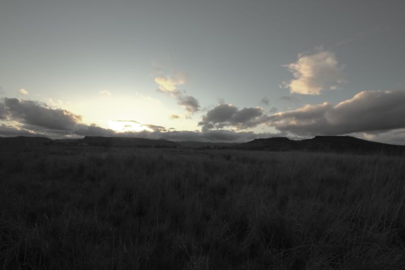 IMAGE: http://i56.photobucket.com/albums/g196/matt9901/IMG_1183-1.jpg