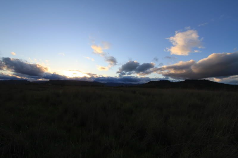 IMAGE: http://i56.photobucket.com/albums/g196/matt9901/IMG_1183.jpg