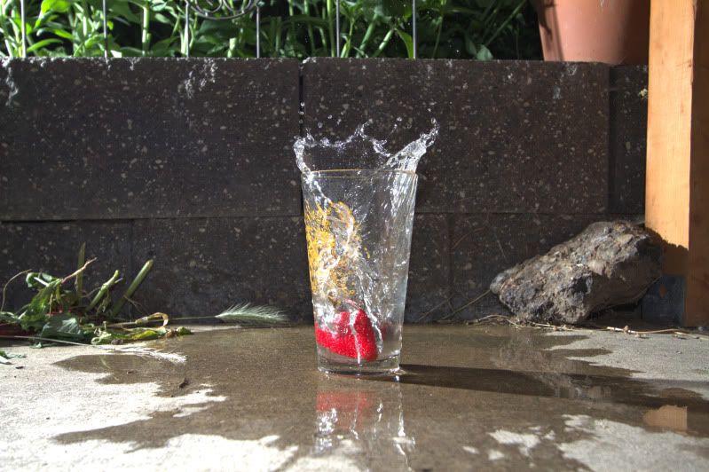 IMAGE: http://i56.photobucket.com/albums/g196/matt9901/IMG_14611-1.jpg