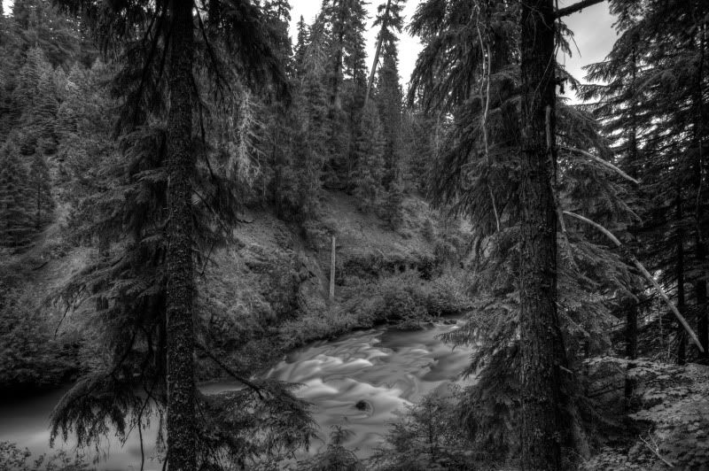 IMAGE: http://i56.photobucket.com/albums/g196/matt9901/IMG_2494_5_6_tonemapped.jpg