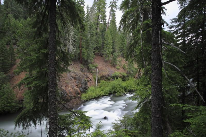 IMAGE: http://i56.photobucket.com/albums/g196/matt9901/IMG_2496.jpg