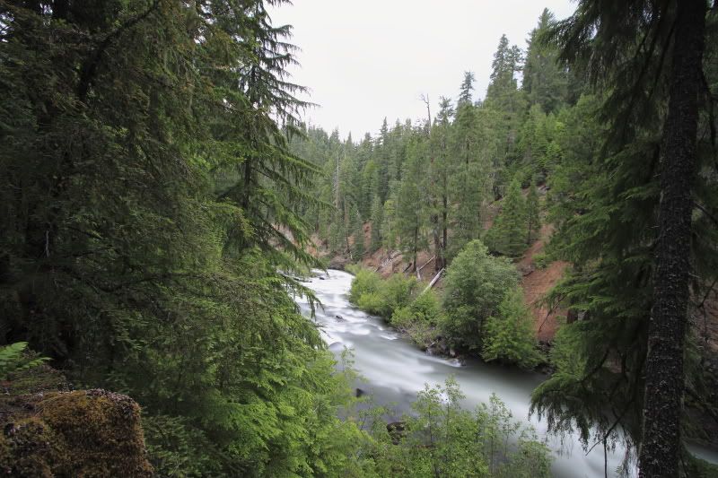 IMAGE: http://i56.photobucket.com/albums/g196/matt9901/IMG_2497.jpg