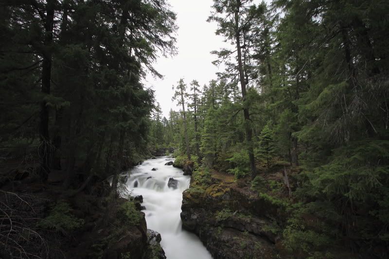 IMAGE: http://i56.photobucket.com/albums/g196/matt9901/IMG_2499.jpg