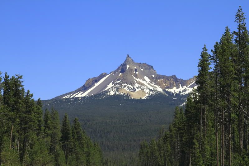 IMAGE: http://i56.photobucket.com/albums/g196/matt9901/IMG_2519.jpg