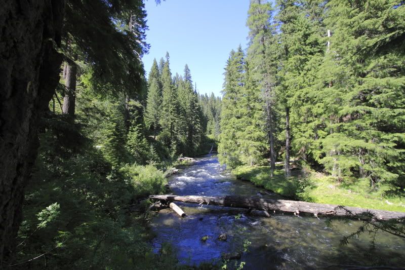 IMAGE: http://i56.photobucket.com/albums/g196/matt9901/IMG_2565.jpg