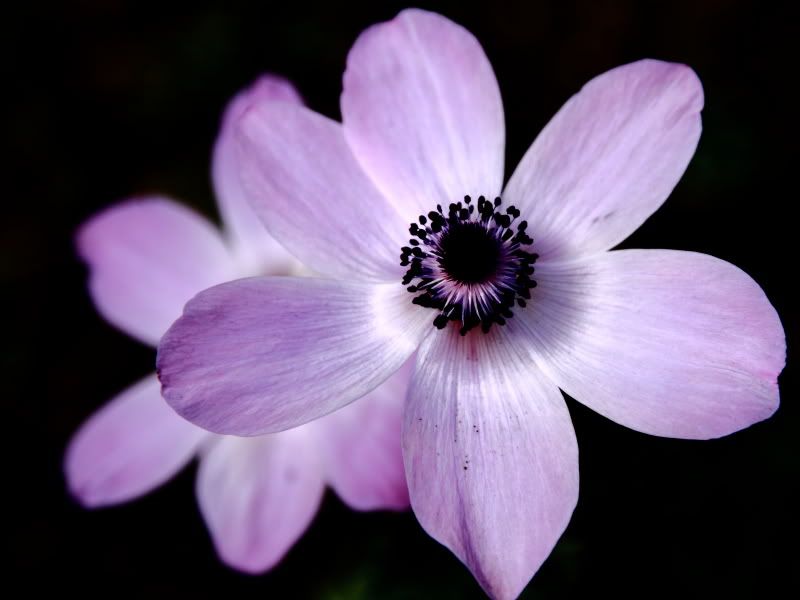 IMAGE: http://i56.photobucket.com/albums/g196/matt9901/IMG_7506.jpg