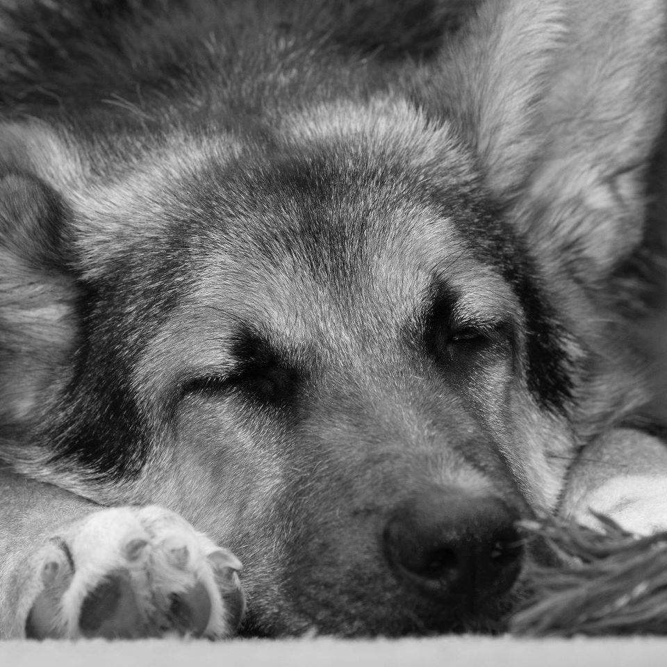 IMAGE: http://i56.photobucket.com/albums/g196/matt9901/Roxy_zps30dc9a8f.jpg