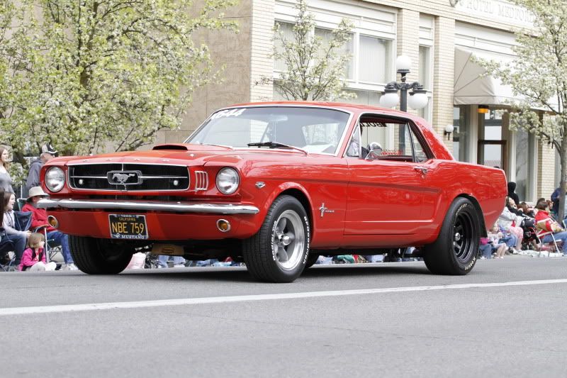 IMAGE: http://i56.photobucket.com/albums/g196/matt9901/_MG_0088.jpg