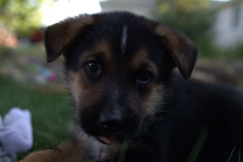 IMAGE: http://i56.photobucket.com/albums/g196/matt9901/_MG_3818.jpg